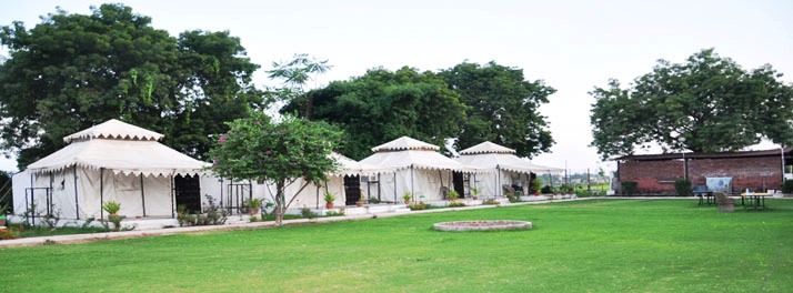 2258/Hotel Padmini - Chittorgarh 16.jpg